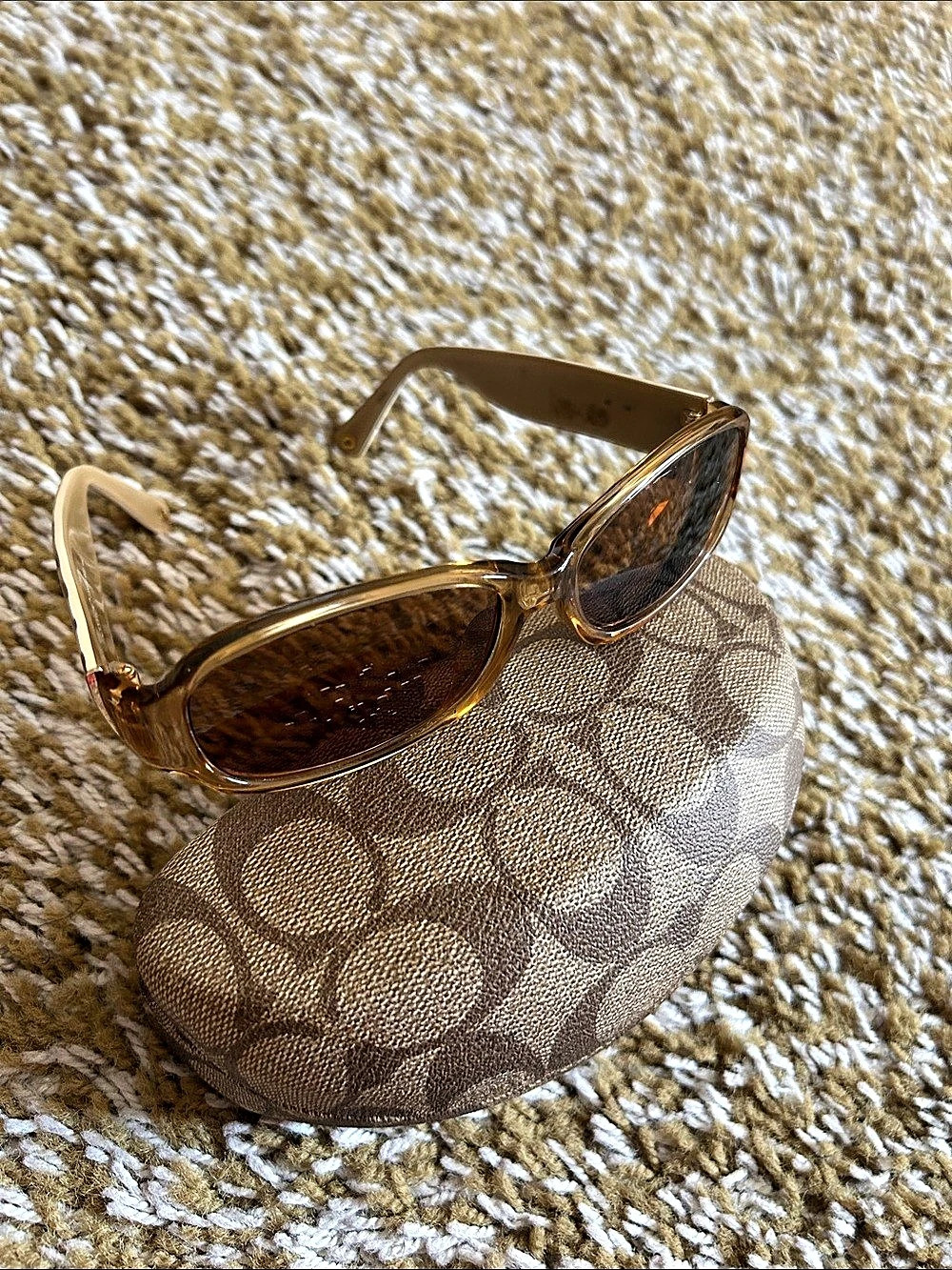 Coach Logo Sunglasses in Brown & Beige